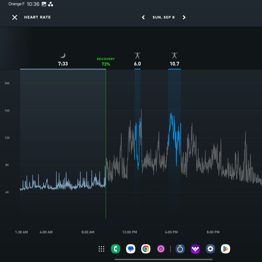 Screenshot of the Whoop app showing detailed continuous heart rate monitoring during a 24-hour period